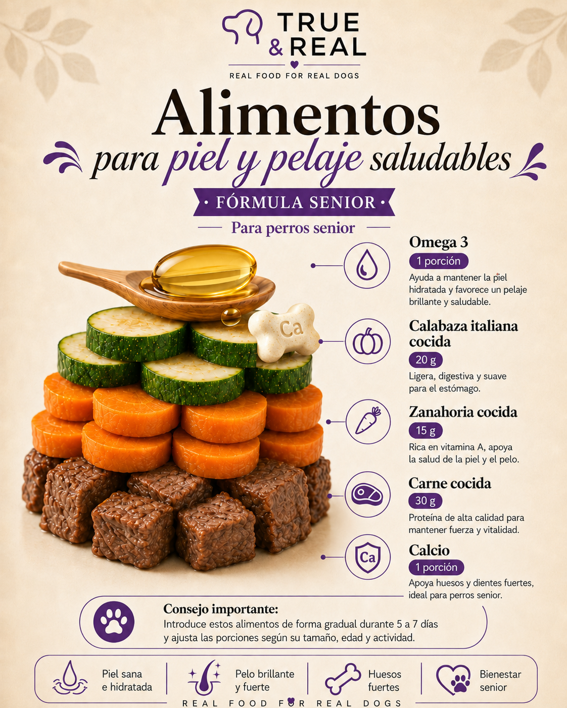Alimento Cocido Para Perros